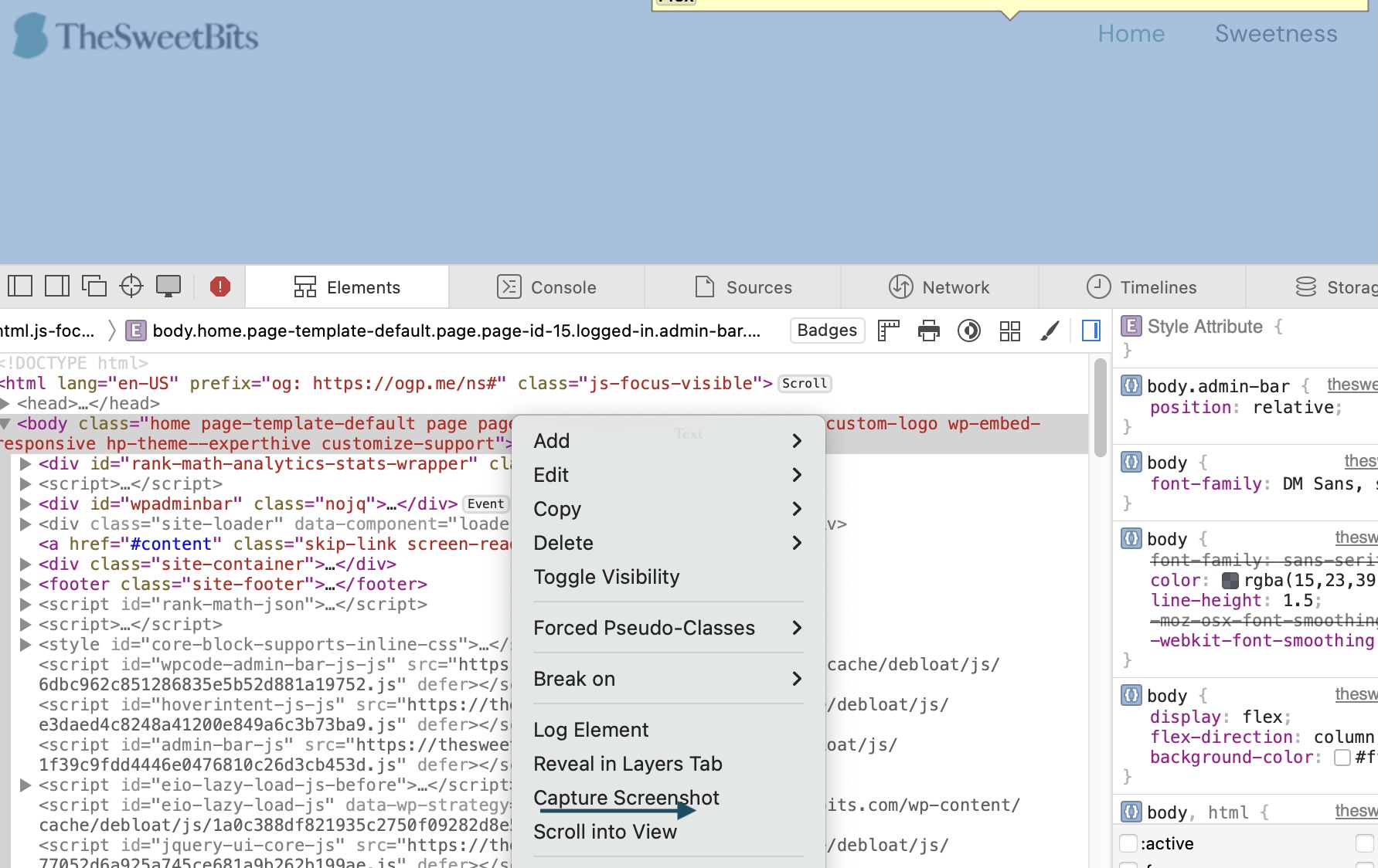 safari webdev