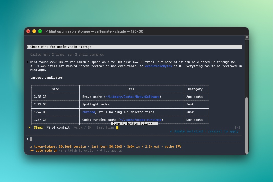 mint access using mcp