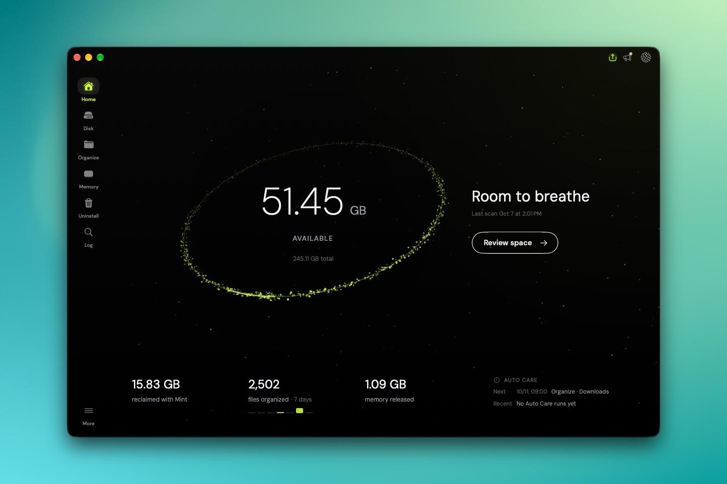 mint home screen with summary