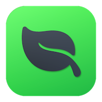 mint icon